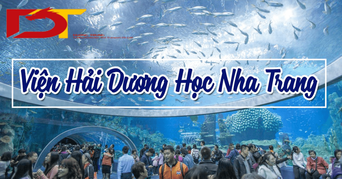 Địa Điểm Du Lịch Viện Hải Dương Học Nha Trang