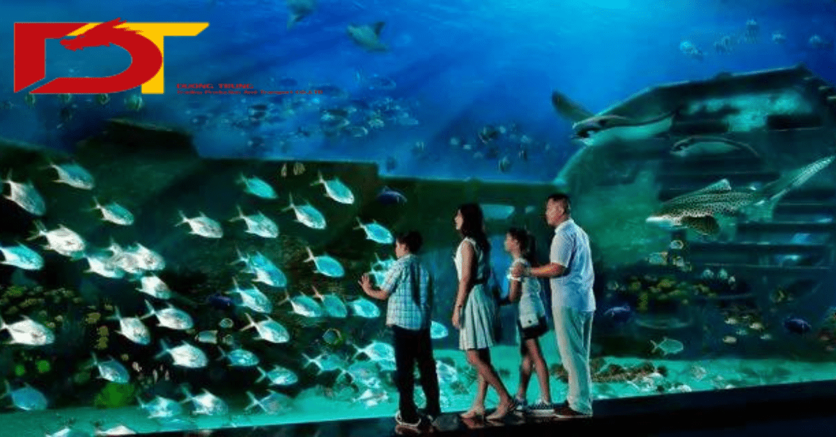 Lịch Sử Hình Thành Viện Dương Học